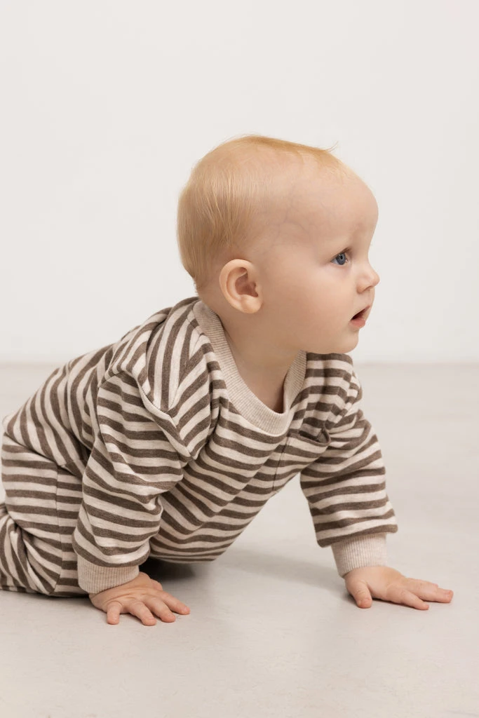 Pako B, Pants - Brown Stripe Mel. 4 Pako B, Pants - Brown Stripe Mel. - Image 2