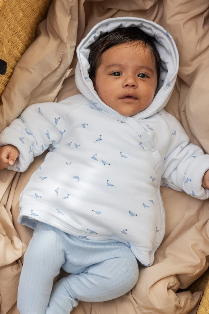 James, Padded Jacket - Dolphin 4 James, Padded Jacket - Dolphin - Image 2